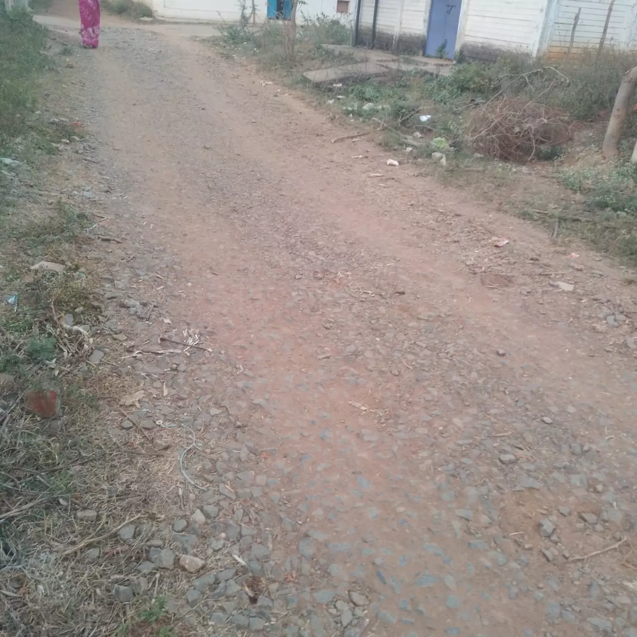 தார் சாலை வேண்டும்