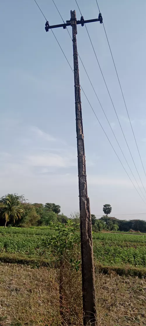 எலும்பு கூடான மின்கம்பம் எலும்பு கூடான மின்கம்பம்