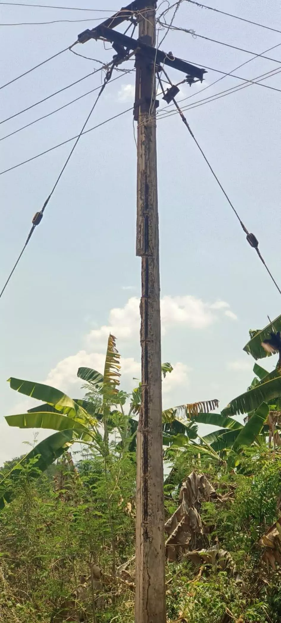 முறிந்து விழும் நிலையில் மின்கம்பம் முறிந்து விழும் நிலையில் மின்கம்பம்