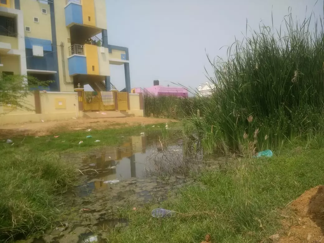 தேங்கி நிற்கும் கழிவுநீர்