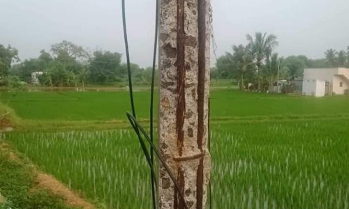 எலும்புக்கூடான மின்கம்பம் எலும்புக்கூடான மின்கம்பம்