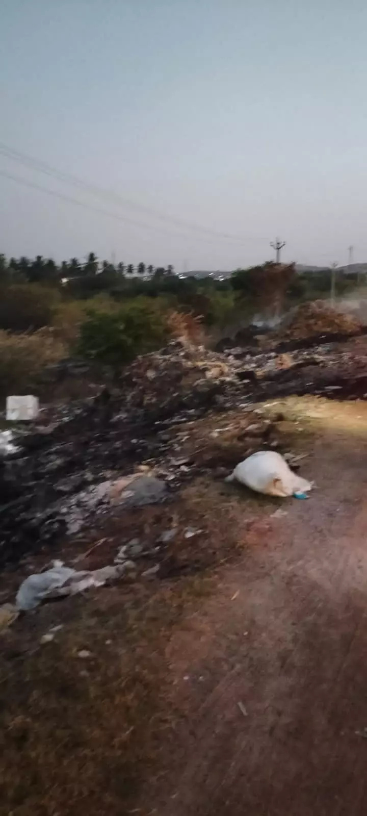 கண்மாயில் கொட்டப்படும் குப்பைகள் கண்மாயில் கொட்டப்படும் குப்பைகள்