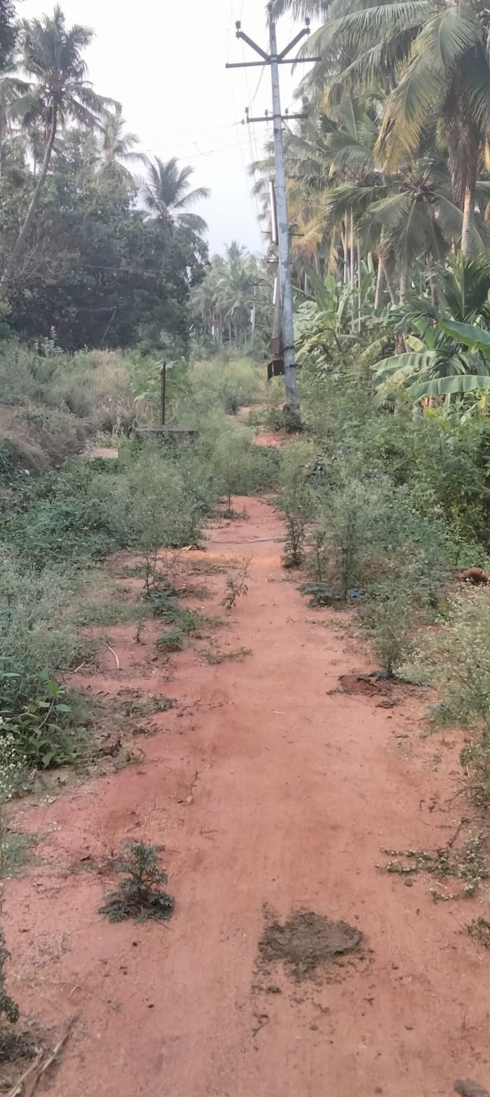 சாலை சீரமைக்கப்படுமா? சாலை சீரமைக்கப்படுமா?