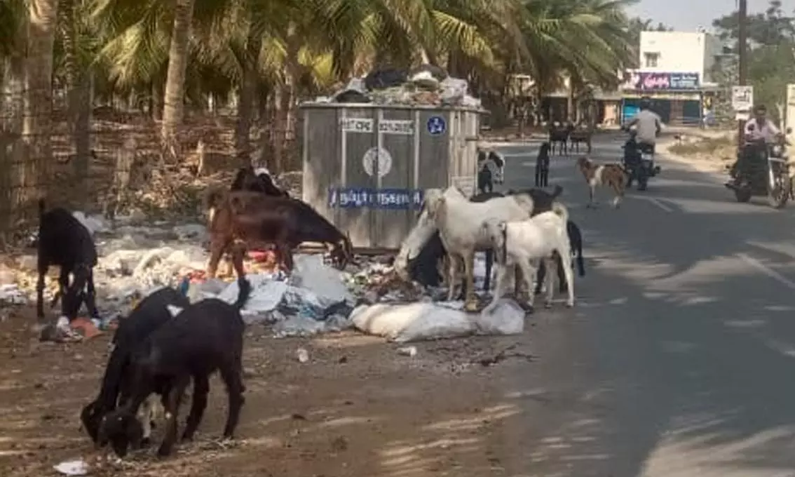 நிரம்பி வழியும்குப்பைத்ெதாட்டிகள்