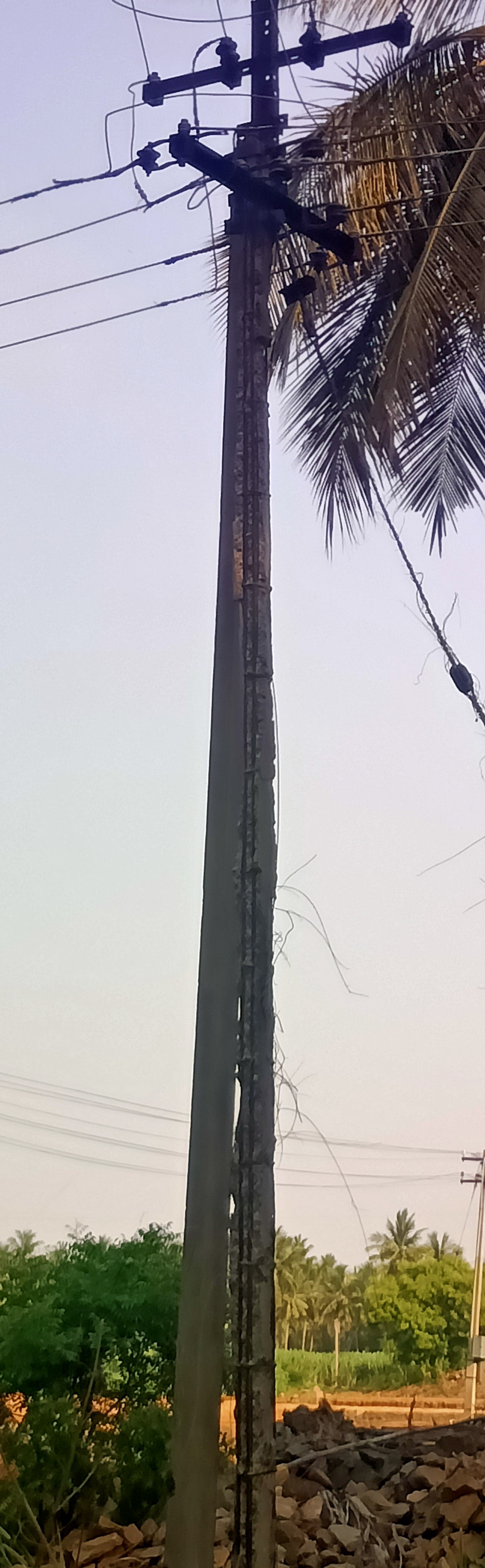 புதிய மின்கம்பம் நட்டும் பலனில்லை புதிய மின்கம்பம் நட்டும் பலனில்லை