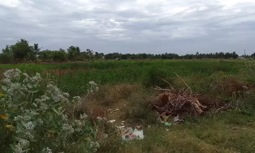 குளம் தூர்வாரப்படுமா? குளம் தூர்வாரப்படுமா?