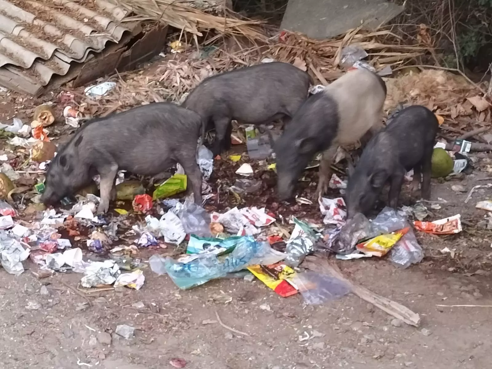 சுகாதாரக்கேடு