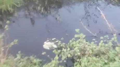 தேங்கி நிற்கும் கழிவுநீர்