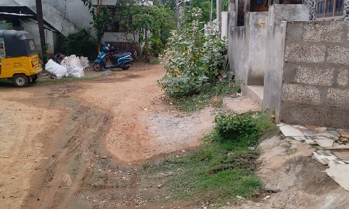 புதர்களை அகற்ற வேண்டும்