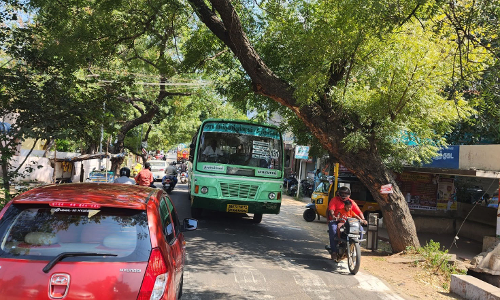 மரத்தினால் விபத்து அபாயம் மரத்தினால் விபத்து அபாயம்