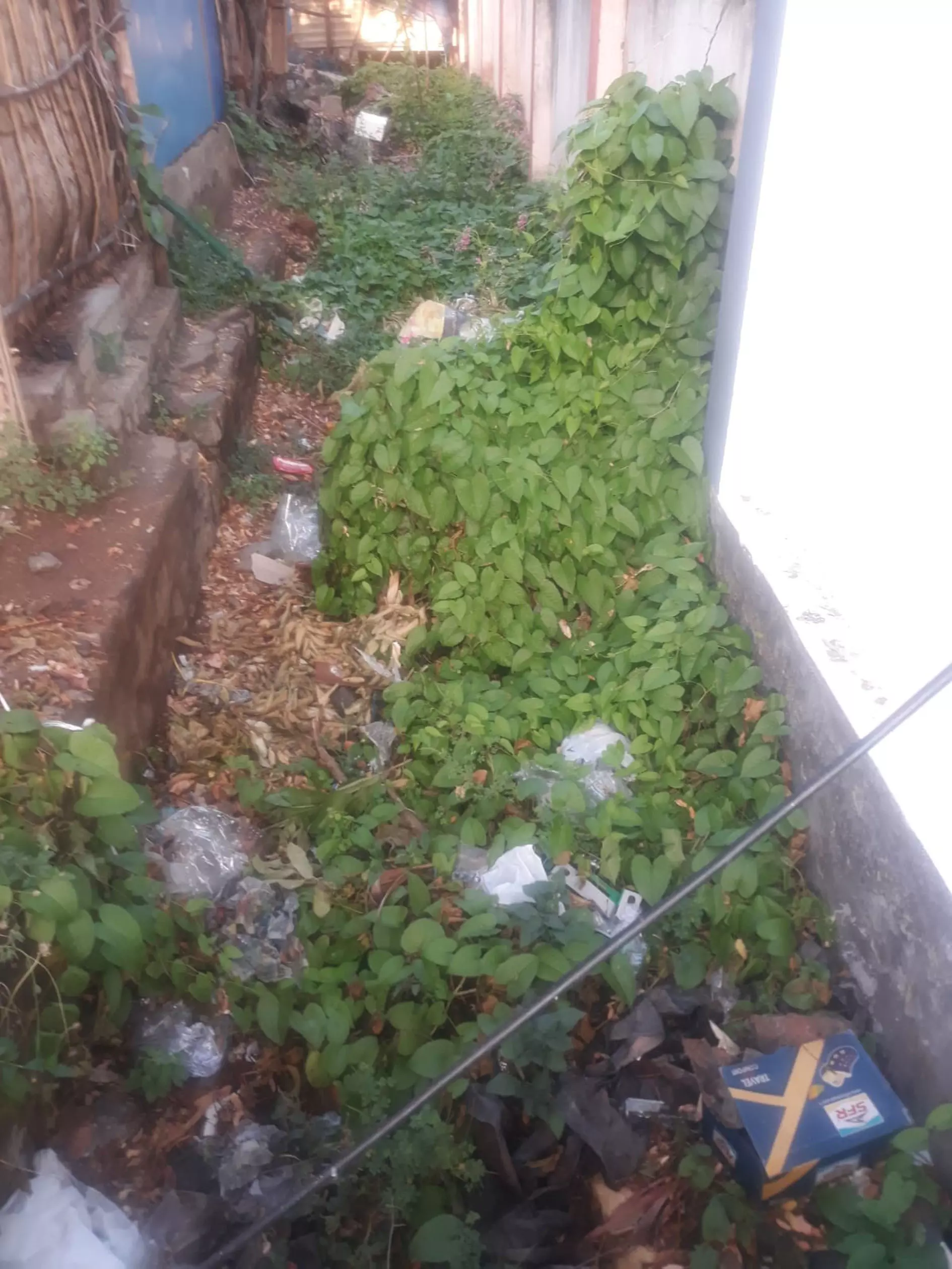 ஓடையை மூடிய மண் ஓடையை மூடிய மண்