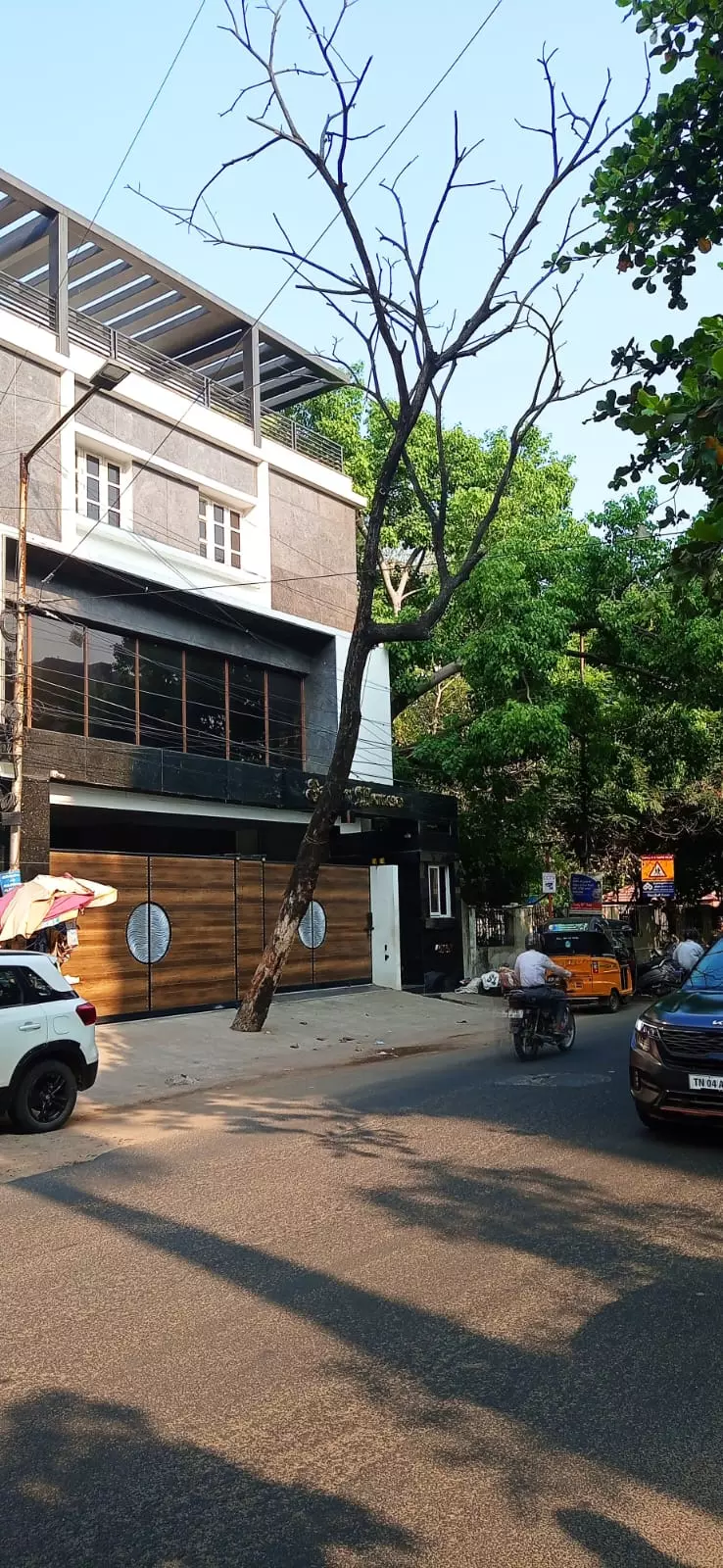 பட்டுப்போன மரம் அகற்றப்படுமா? பட்டுப்போன மரம் அகற்றப்படுமா?