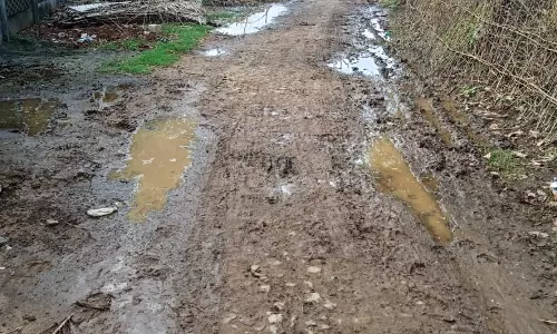 சாலையை சீரமைக்க வேண்டும்