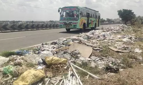 சாலையோரம் கொட்டப்படும் கோழிக்கழிவுகள்