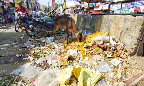 குப்பைகளை அகற்ற வேண்டும்