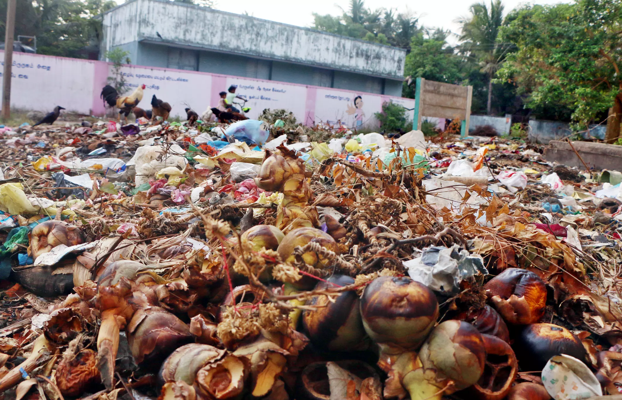 மலைபோல் குவிந்துள்ள குப்பை மலைபோல் குவிந்துள்ள குப்பை