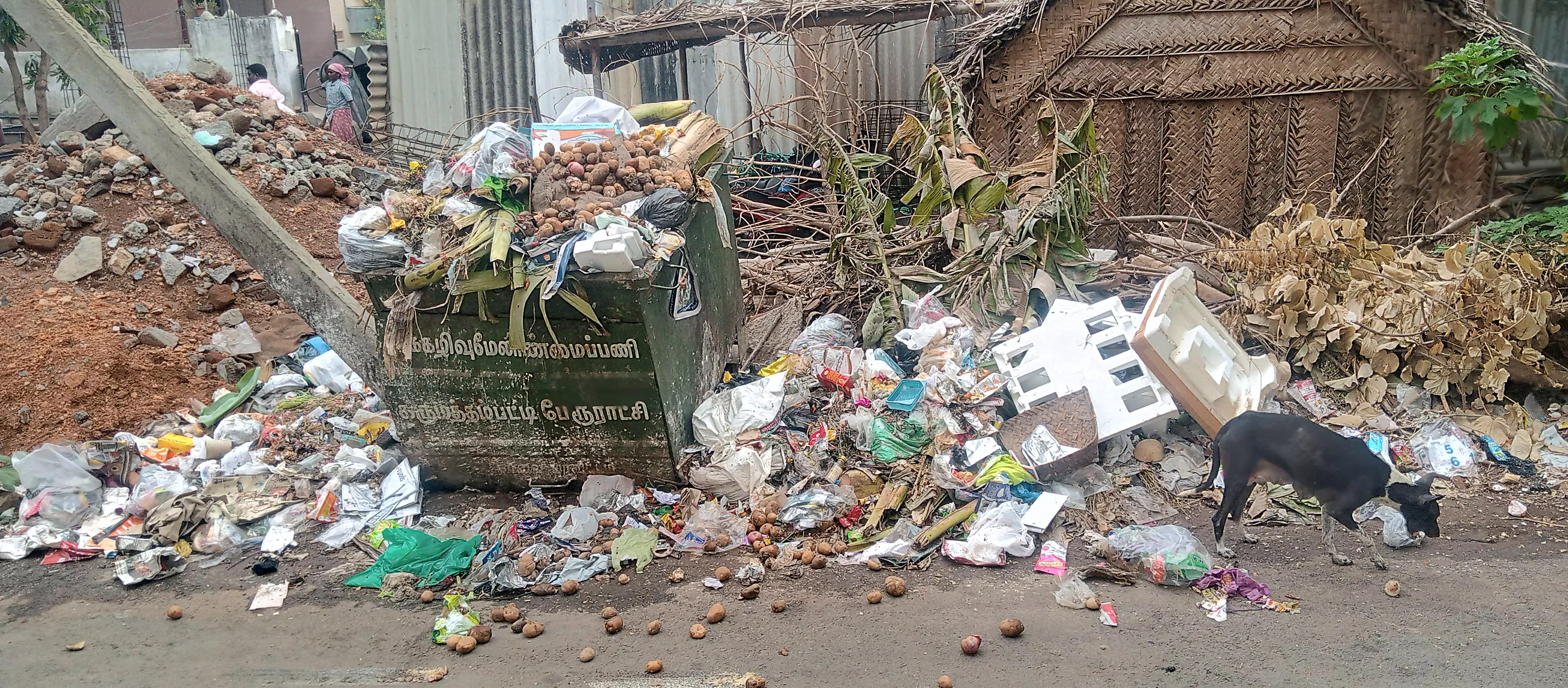 குவிந்து கிடக்கும் குப்பைகள் குவிந்து கிடக்கும் குப்பைகள்