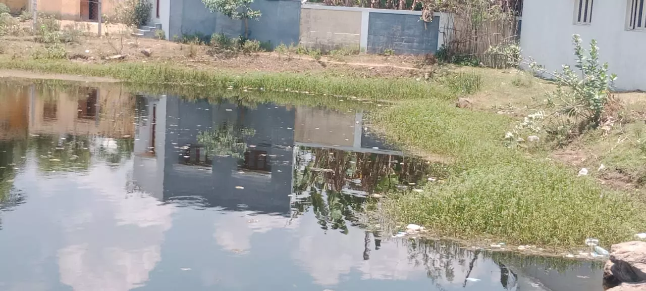 குட்டை சுத்தம் செய்யப்டுமா