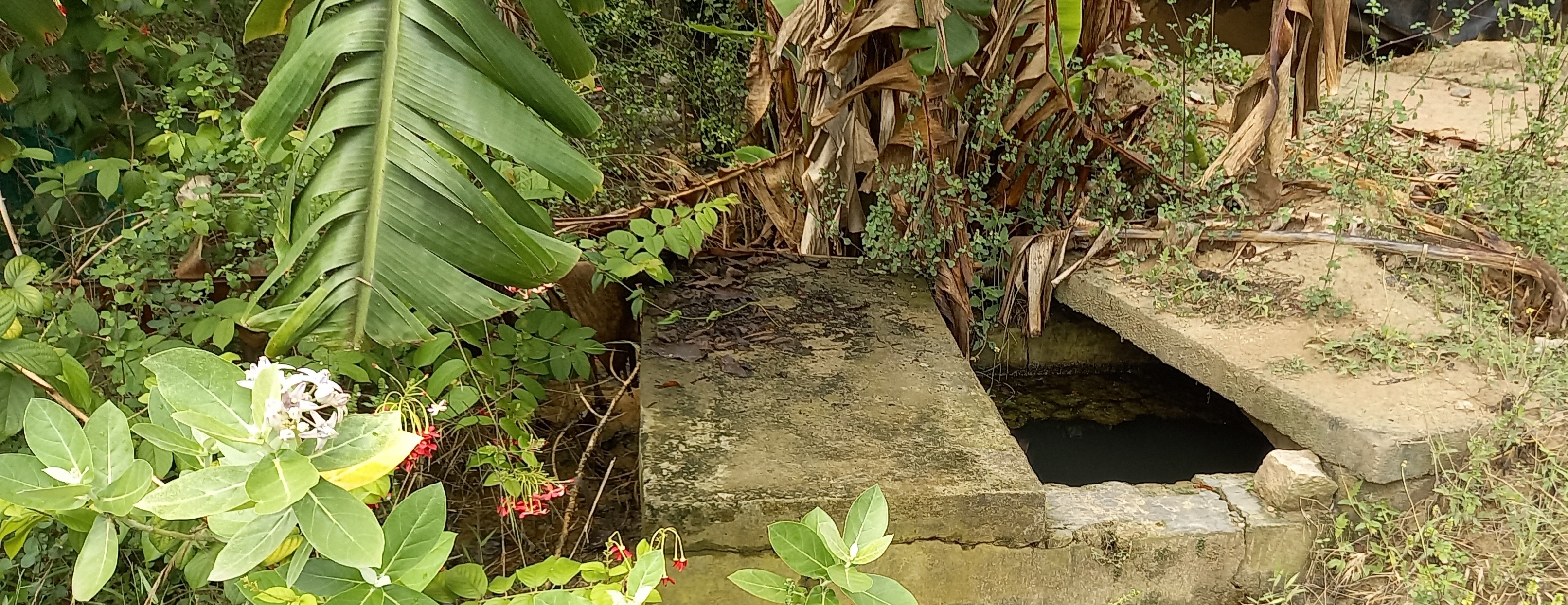 குடிநீர் தொட்டியை மூடி வைக்க கோரிக்கை குடிநீர் தொட்டியை மூடி வைக்க கோரிக்கை