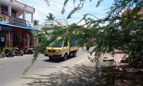 சாலையை ஆக்கிரமித்த மரம் சாலையை ஆக்கிரமித்த மரம்
