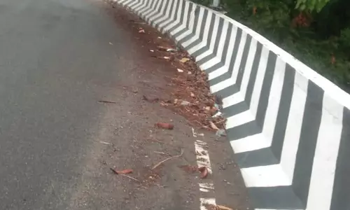 மேம்பாலங்களை சுத்தம் செய்ய வேண்டும் மேம்பாலங்களை சுத்தம் செய்ய வேண்டும்