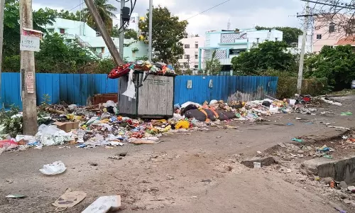 சாலையில் குவியும் குப்பைகள் சாலையில் குவியும் குப்பைகள்
