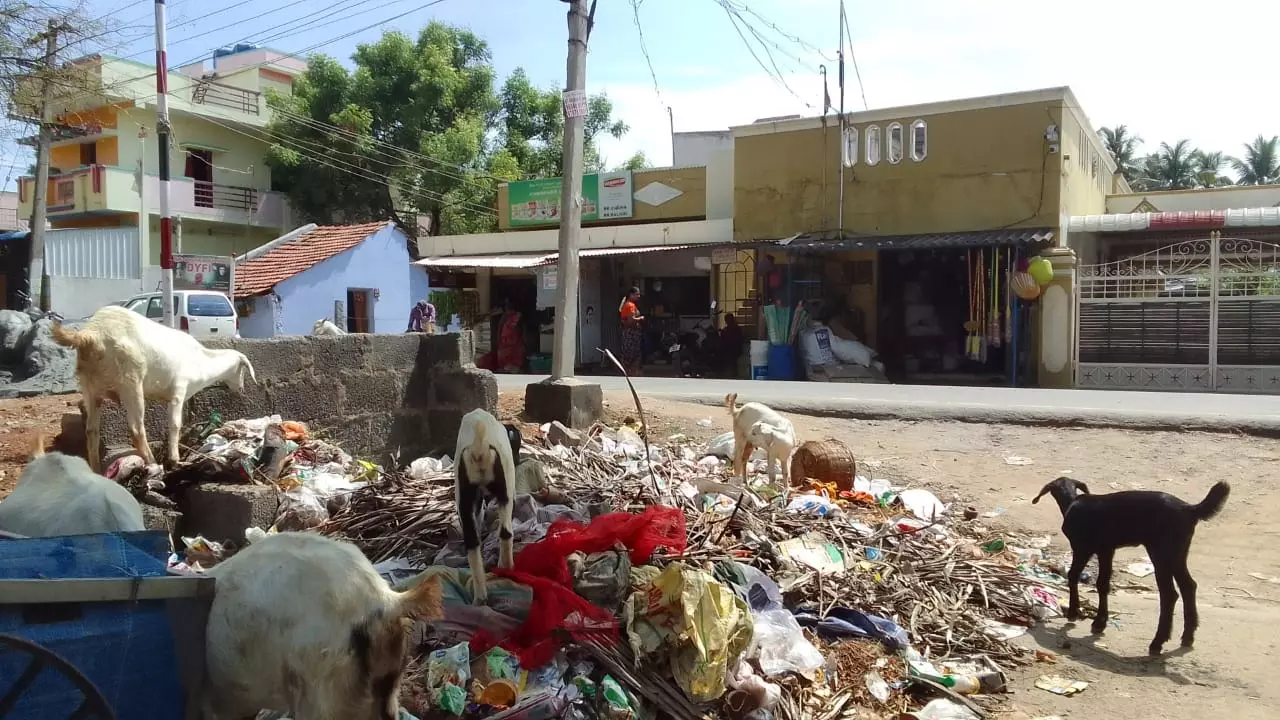 சுகாதார சீர்கேடு சுகாதார சீர்கேடு