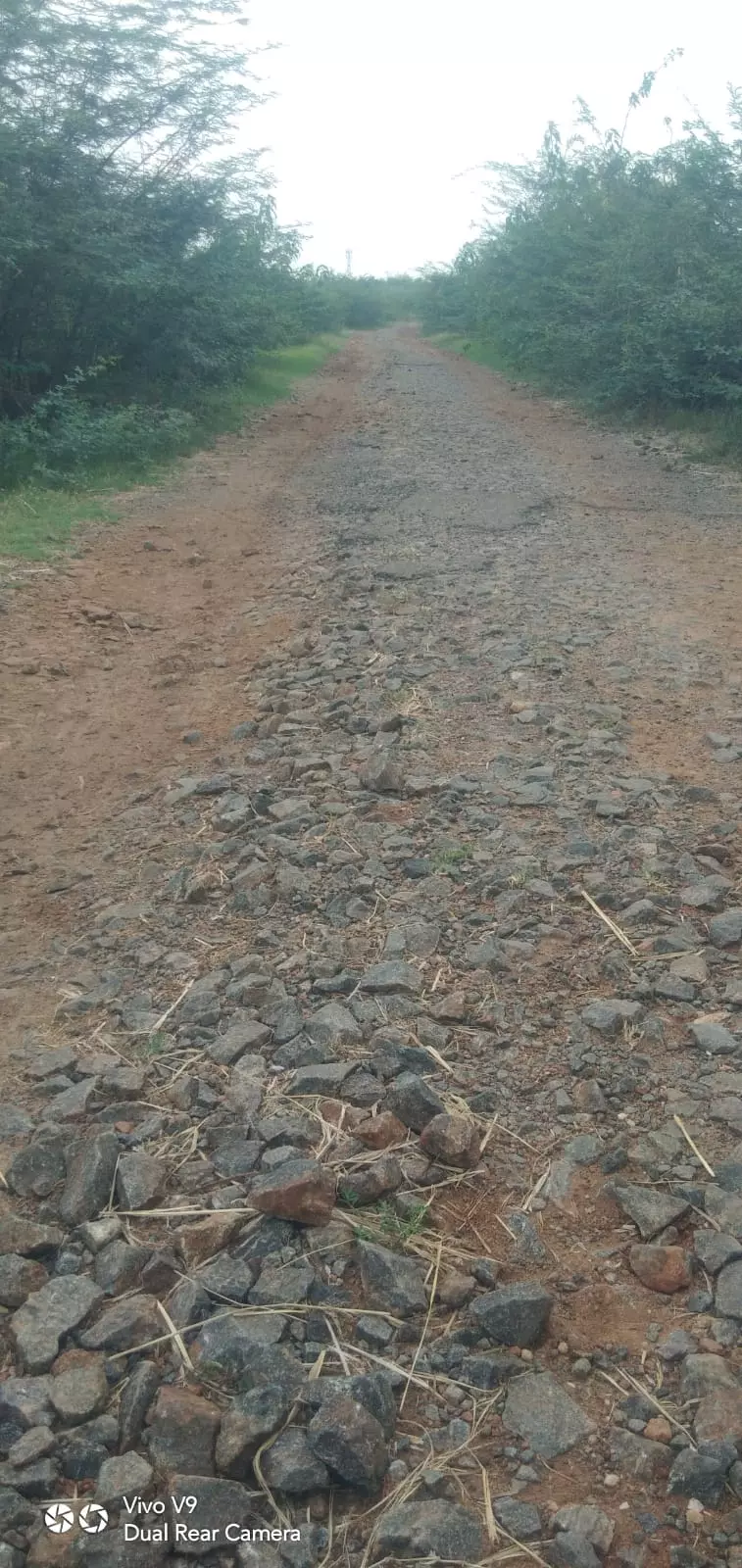 நம்புங்க...இதுவும் சாலை தான்