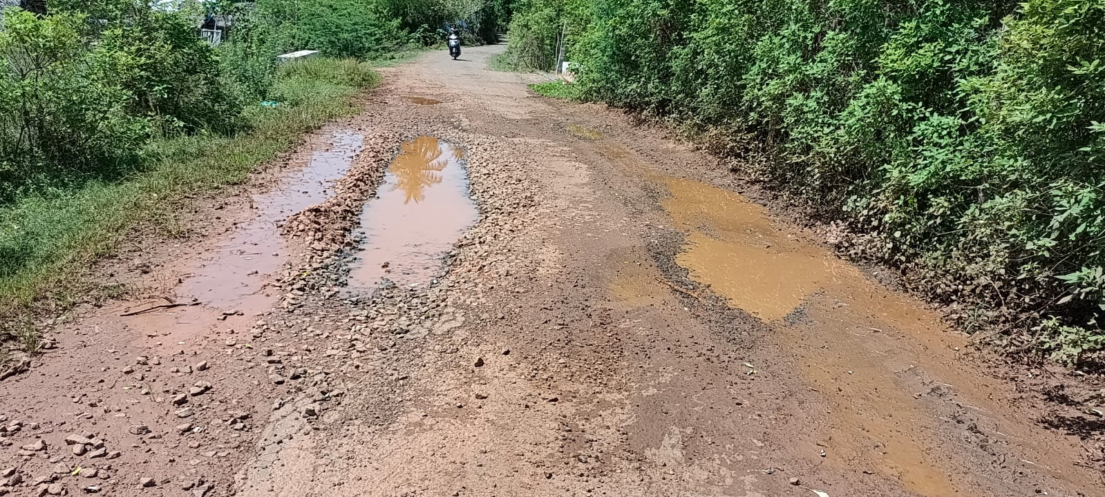 சாலையை சீரமைக்க வேண்டும்