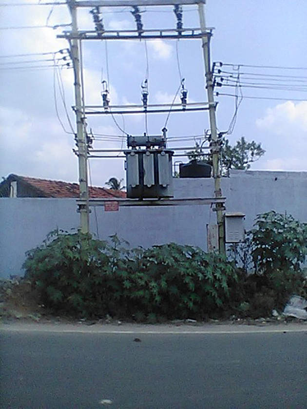 செடி, கொடிகளை அகற்றுவார்களா? செடி, கொடிகளை அகற்றுவார்களா?