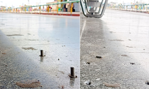 தினத்தந்திக்கு பாராட்டு தினத்தந்திக்கு பாராட்டு