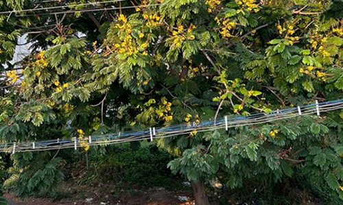 தாழ்வாக செல்லும் மின்கம்பிகள் தாழ்வாக செல்லும் மின்கம்பிகள்