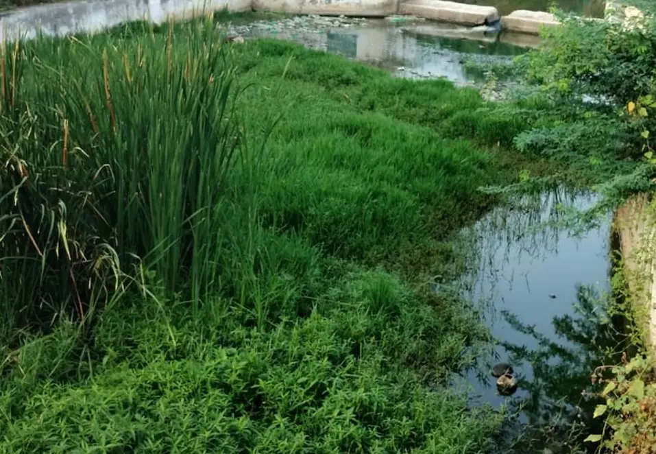 குவிந்து கிடக்கும் குப்பைகள் குவிந்து கிடக்கும் குப்பைகள்