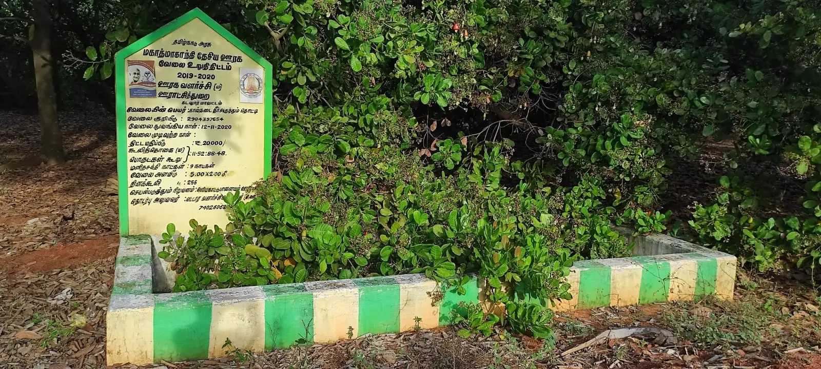 புதர்மண்டி கிடக்கும் கால்நடைகள் நீர்அருந்தும் தொட்டி புதர்மண்டி கிடக்கும் கால்நடைகள் நீர்அருந்தும் தொட்டி