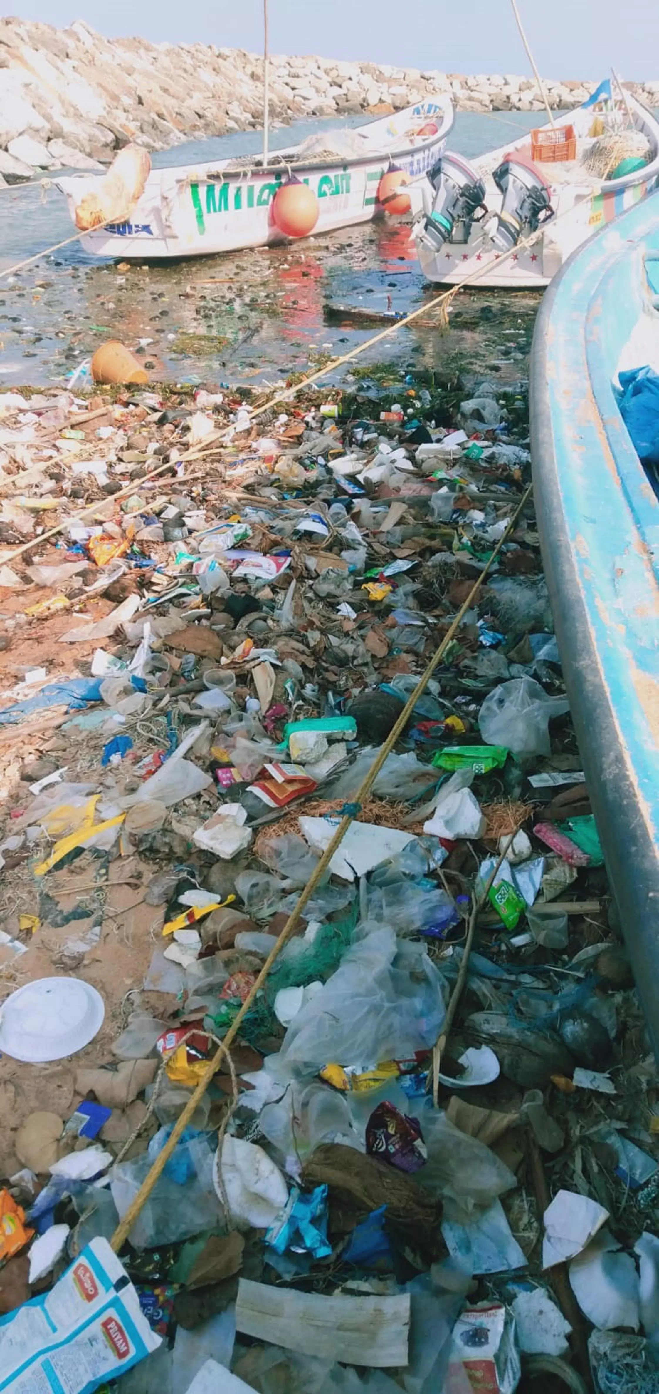 கடற்கரையில் கொட்டப்படும் குப்பைகள கடற்கரையில் கொட்டப்படும் குப்பைகள