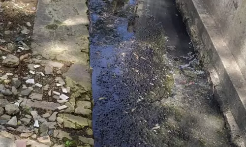 வடிகால் வசதி வேண்டும் வடிகால் வசதி வேண்டும்