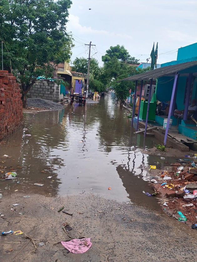 தேங்கி கிடக்கும் நீரில் கொசு உற்பத்தி