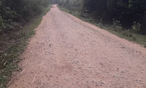 கரடுமுரடான சாலை