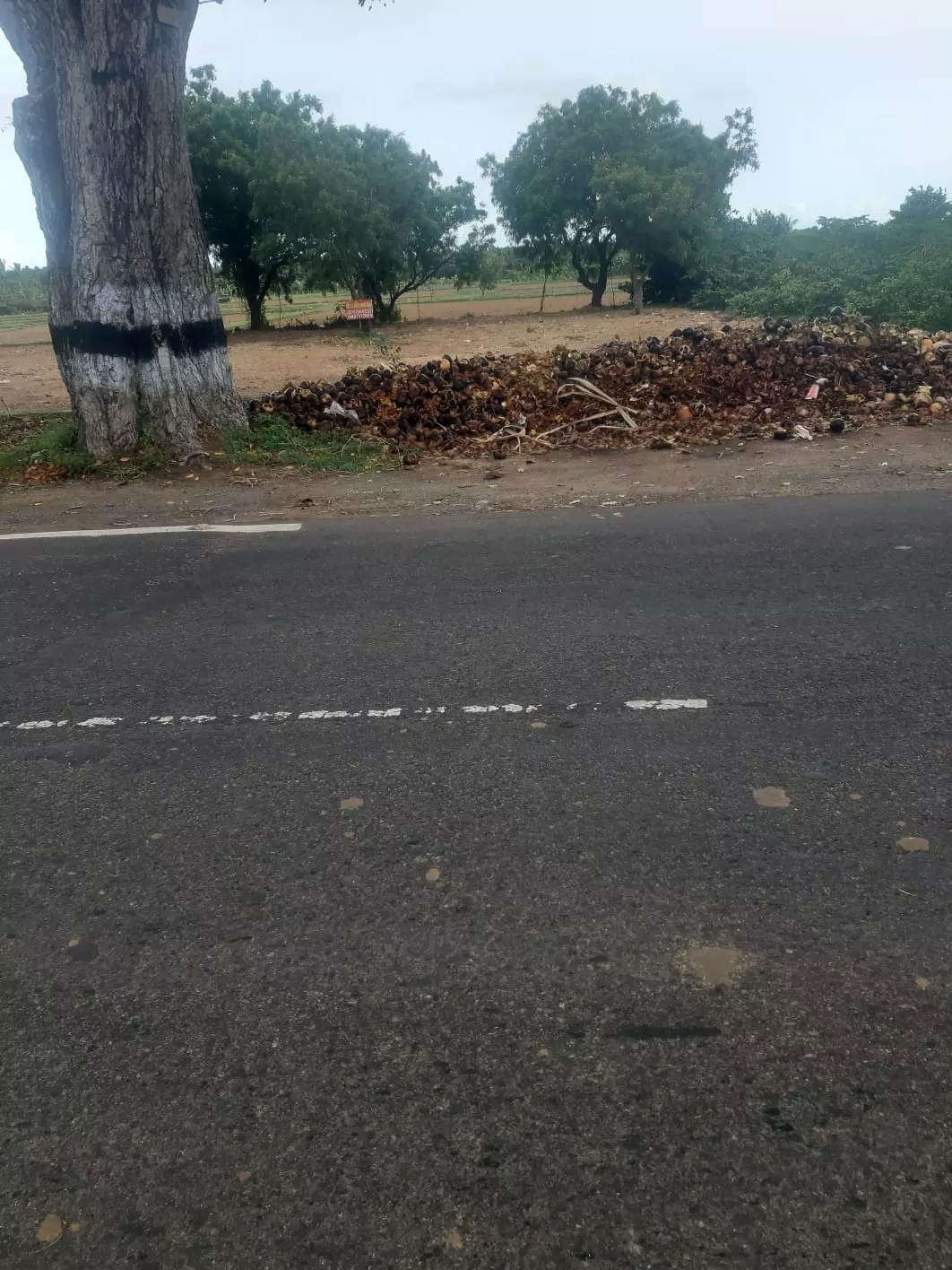 கழிவுகளை அகற்ற வேண்டும்