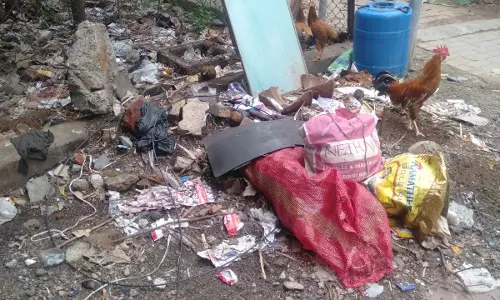 தொற்றுநோய் பரவும் அபாயம்