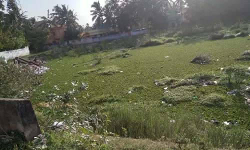 தூர்வார வேண்டும்