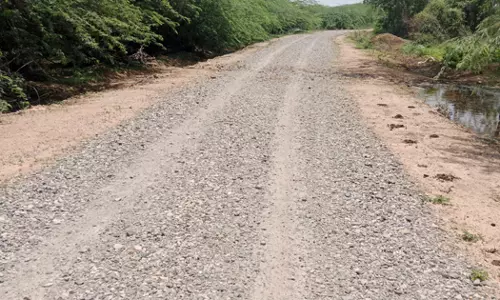 கிடப்பில் போடப்பட்ட சாலை பணி