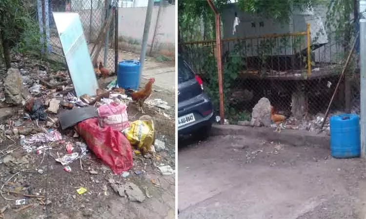 குப்பை அகற்றப்பட்டது