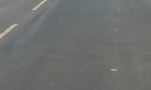 தினத்தந்திக்கு பாராட்டு