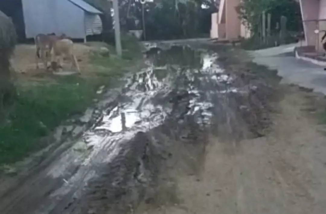 சேறும், சகதியுமான சாலை