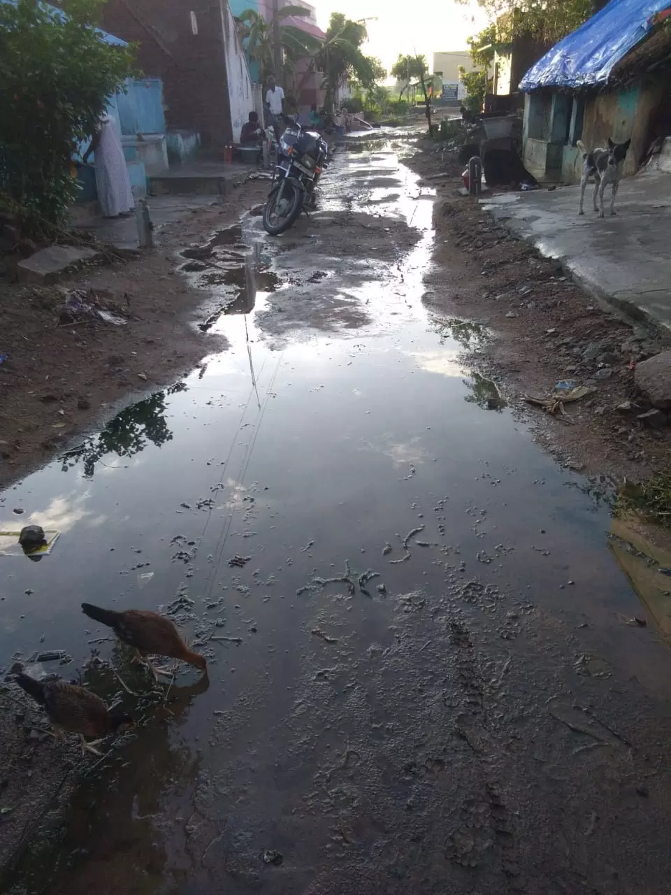 குளம்போல் தேங்கி நிற்கும் கழிவுநீர் குளம்போல் தேங்கி நிற்கும் கழிவுநீர்