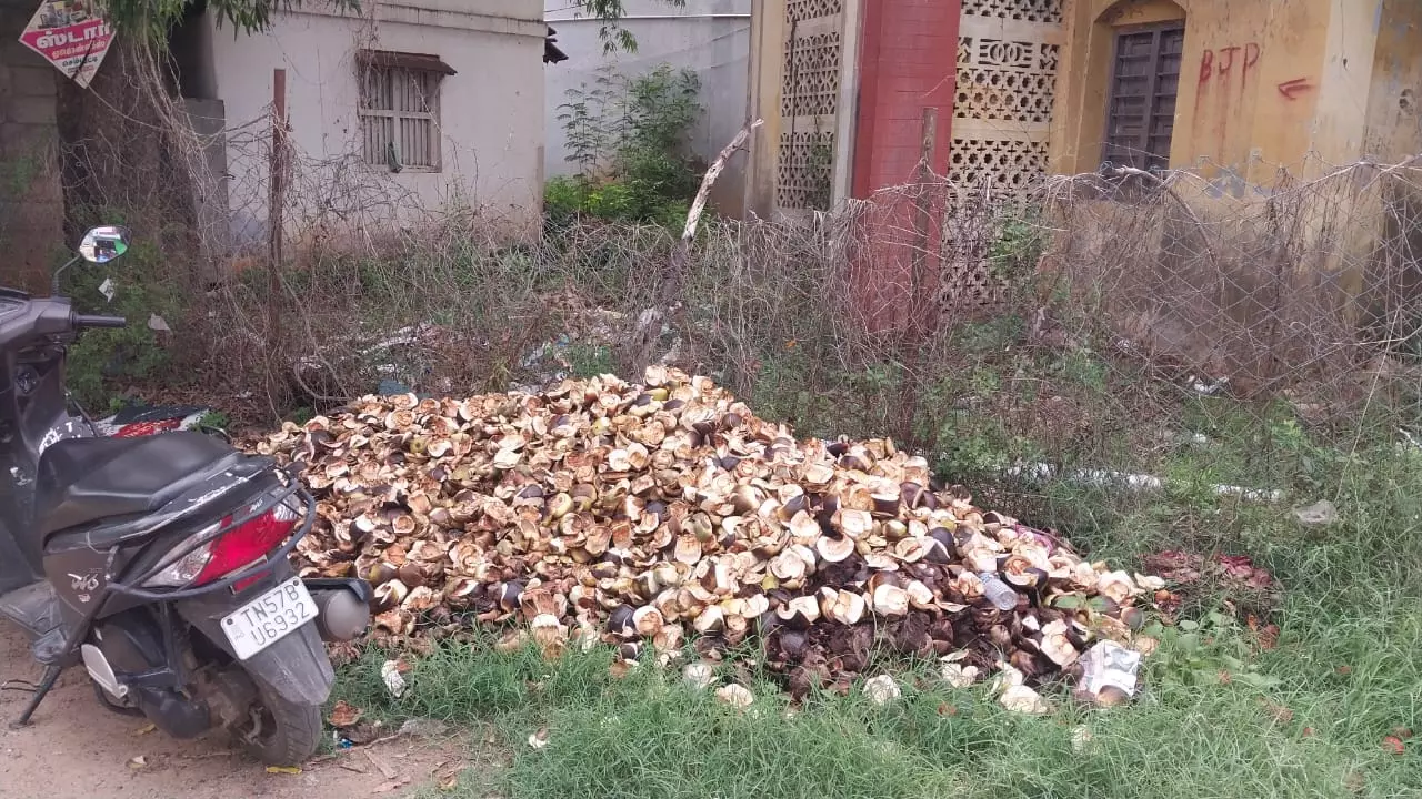 கொசுத்தொல்லையால் அவதி