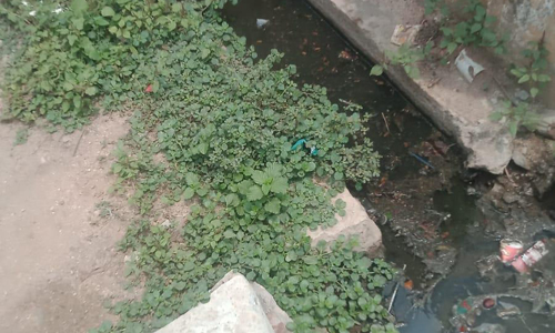 கால்வாயில் தேங்கும் கழிவுநீர் கால்வாயில் தேங்கும் கழிவுநீர்