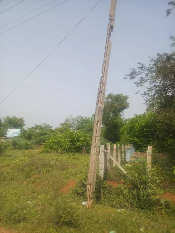 எலும்புகூடான மின்கம்பம்