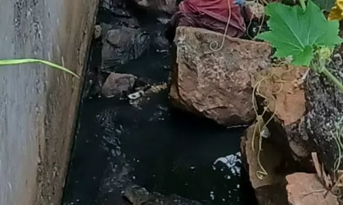 சுகாதார சீர் கேடு